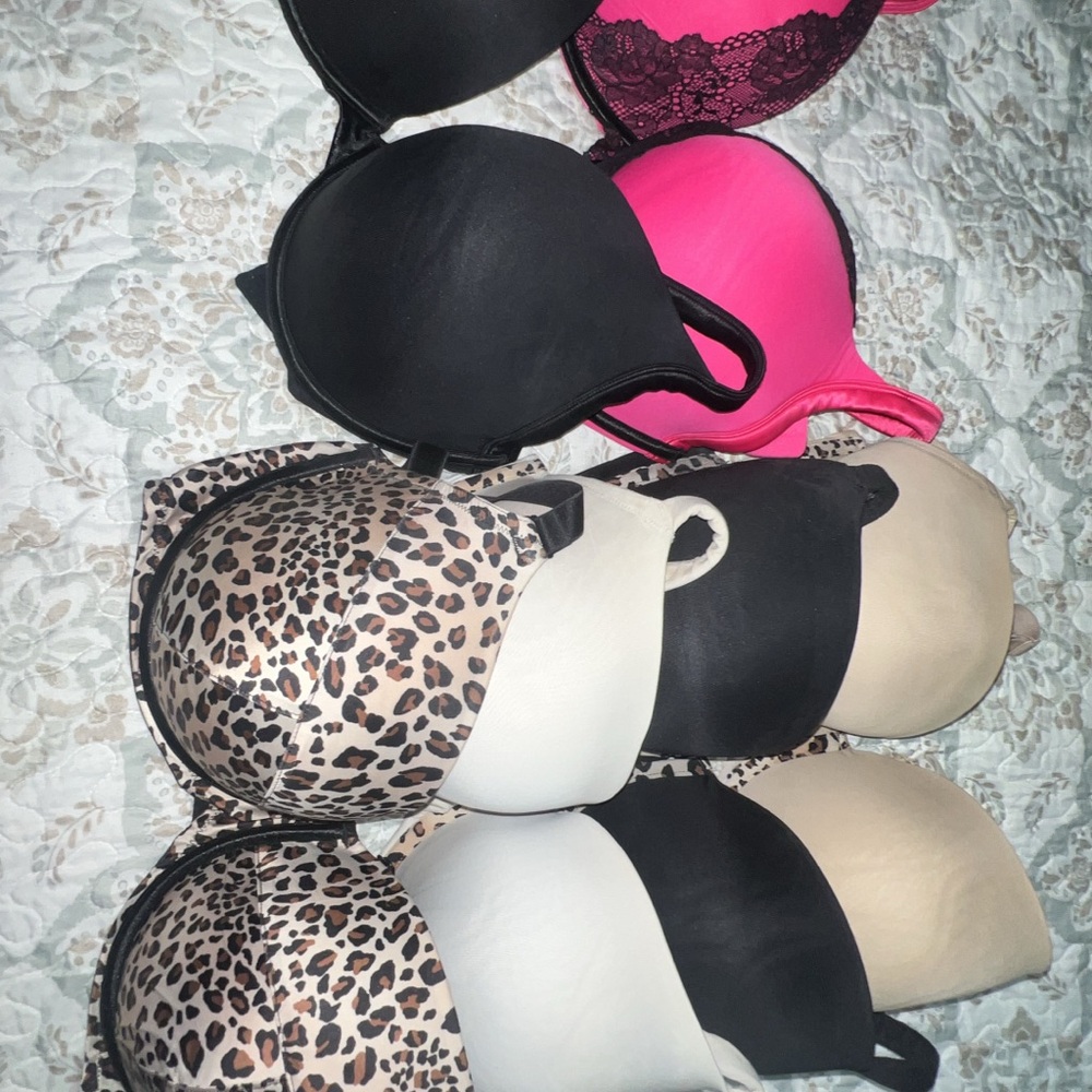Cacique Black and Pink Bras Intimates & Sleepwear Collection